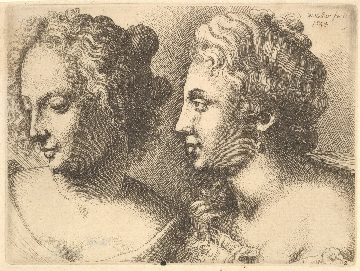 Hlavy dvou mladých žen, 1645. od Wenceslaus Hollar