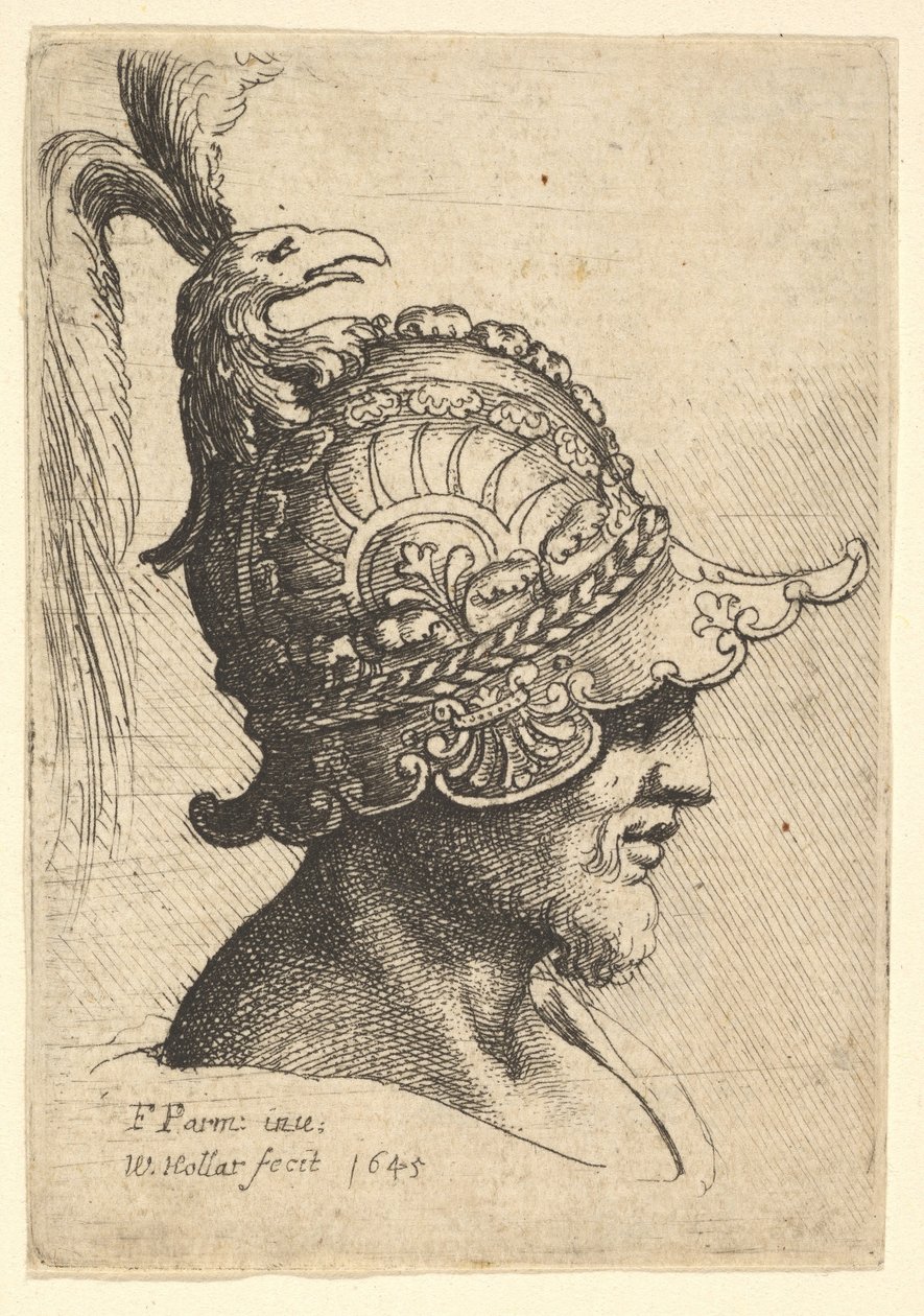 Hlava s přilbou s hřebenem ptačí hlavy, 1645. od Wenceslaus Hollar