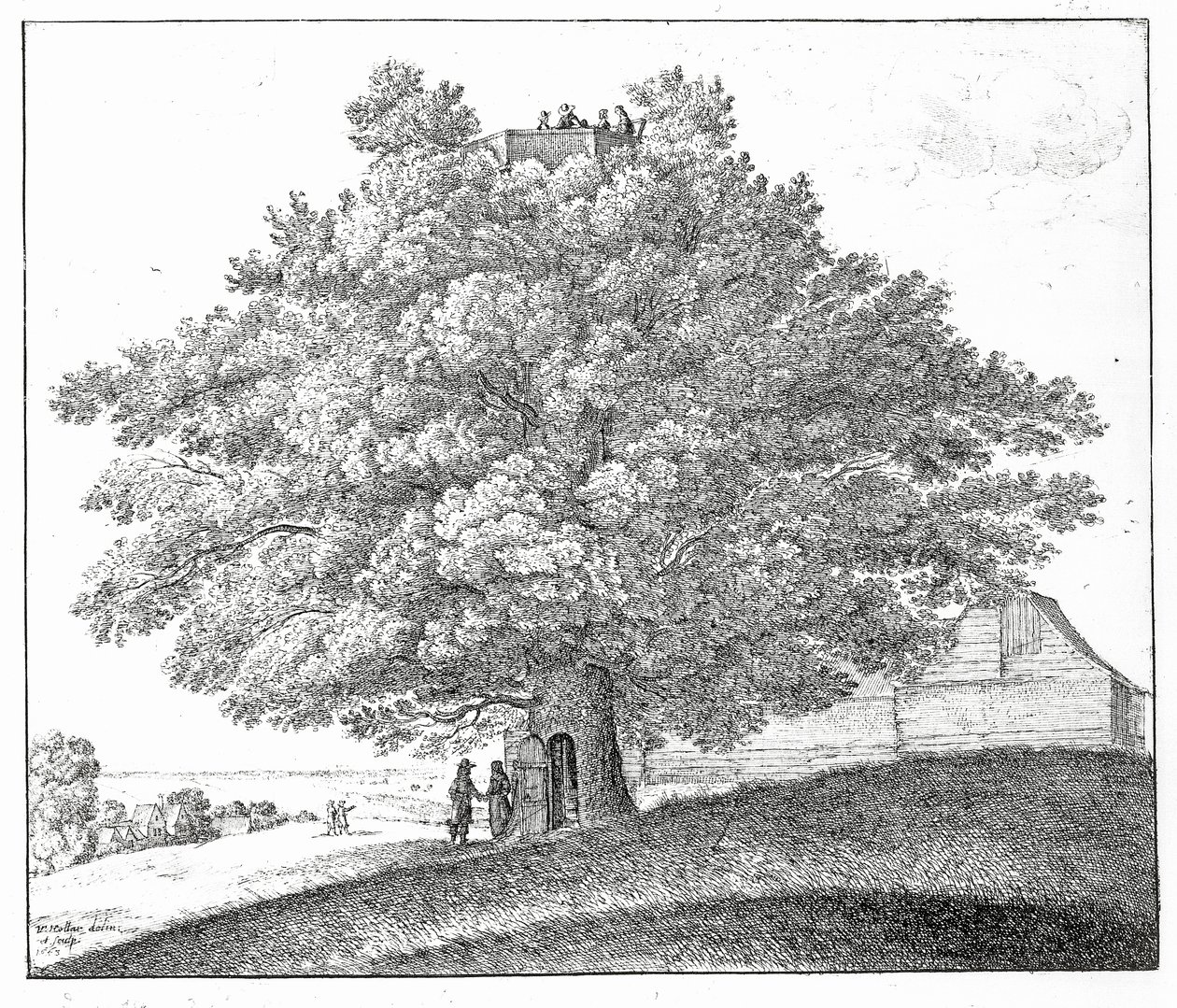 Hollow Tree v Hampstead, 1663 od Wenceslaus Hollar