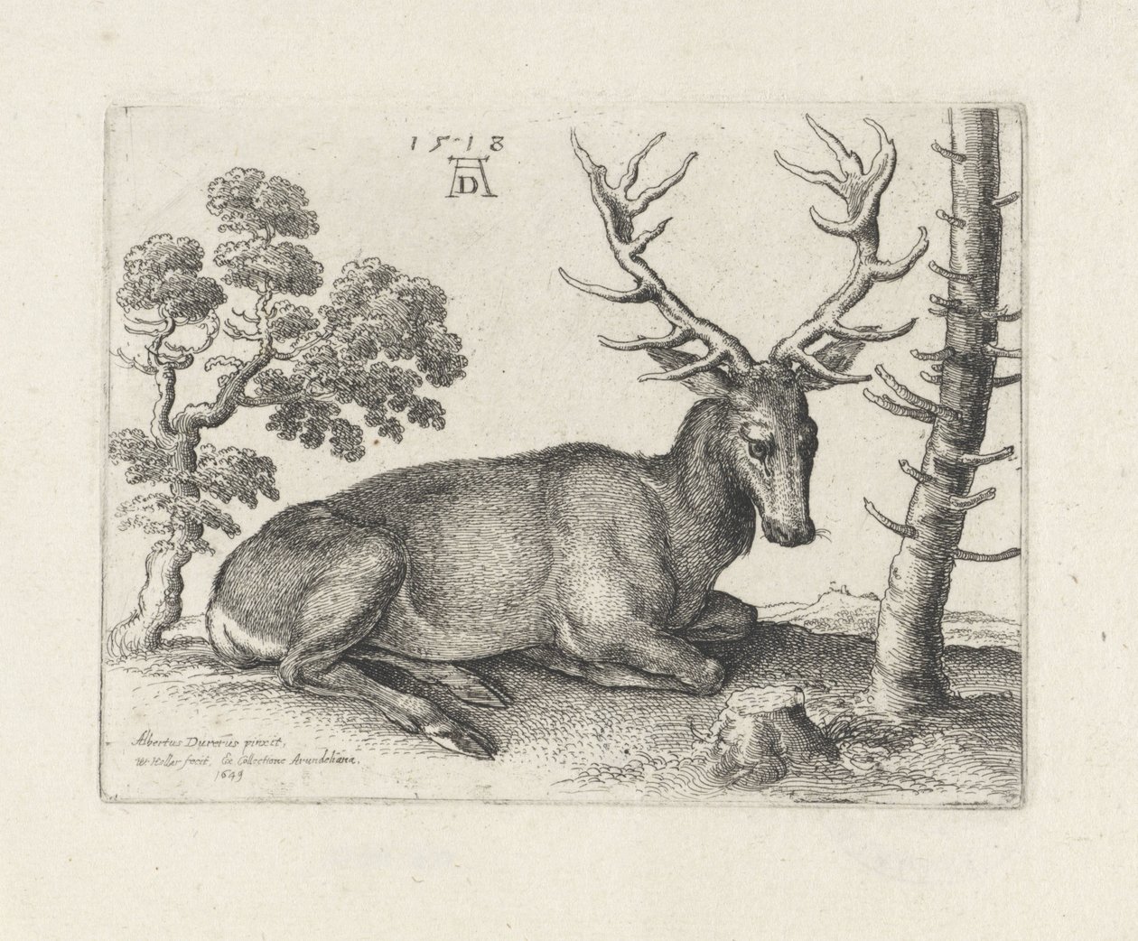 Ležící jelen, vpravo od Wenceslaus Hollar
