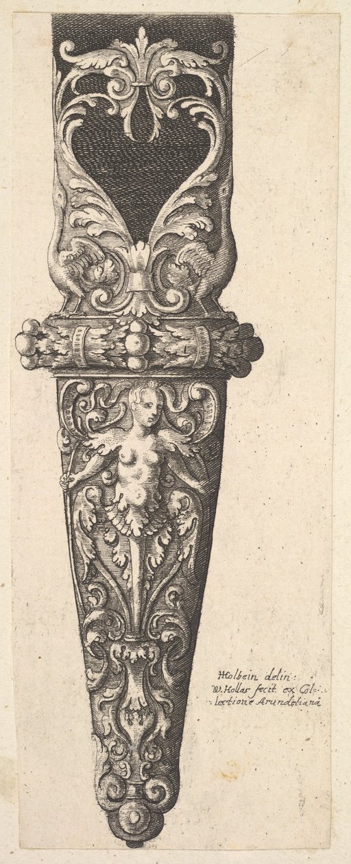 Spodní část pochvy, 1625-77. od Wenceslaus Hollar