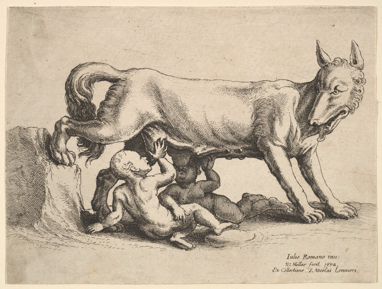 Romulus a Remus, 1652. od Wenceslaus Hollar