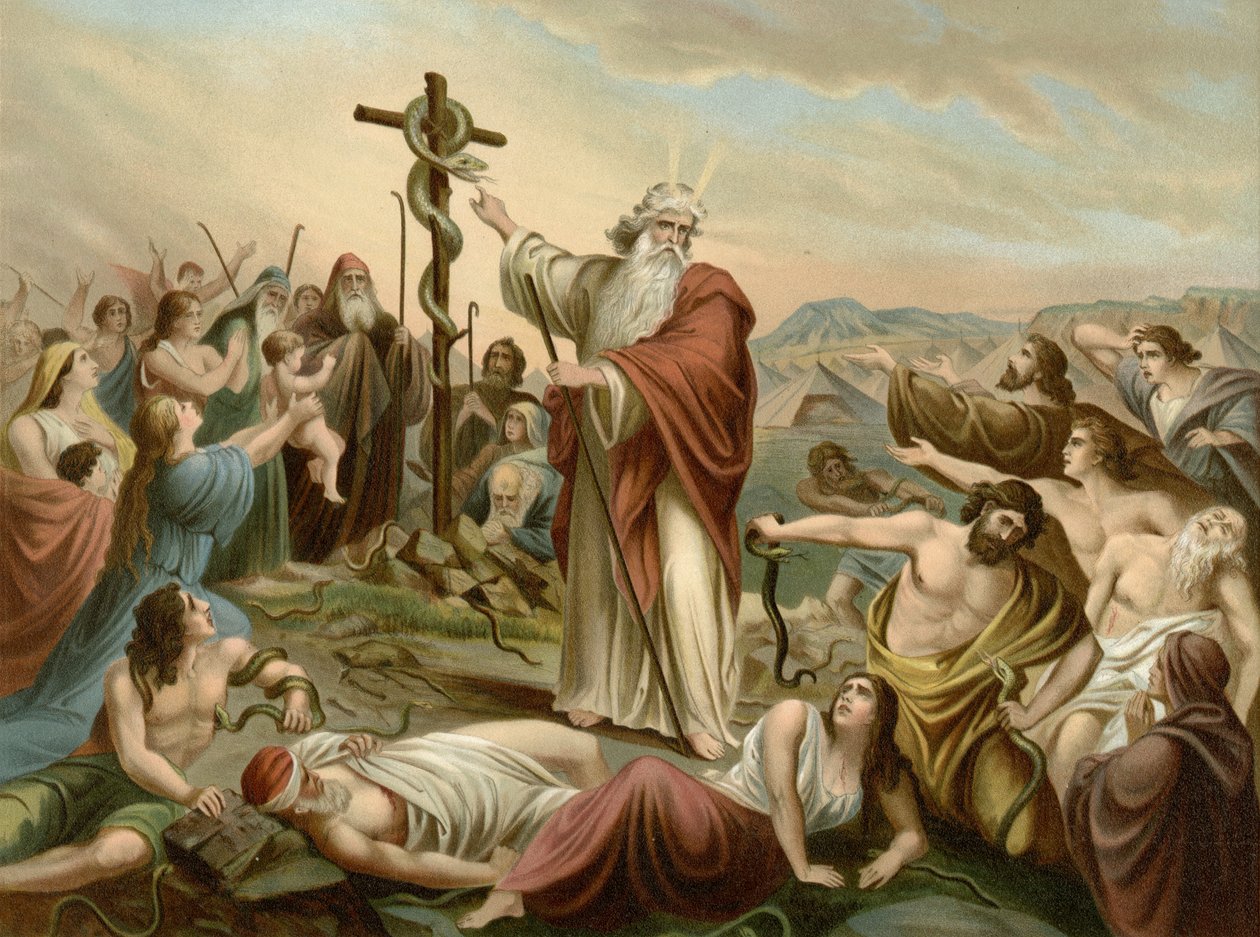 Povýšení mosazného hada (barva litho) od Wilhelm Ebbinghaus