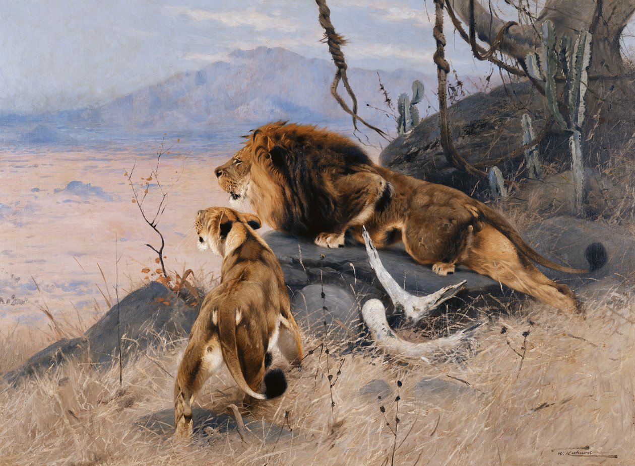 Lev a lvice; Lowe und Lowin, od Wilhelm Kuhnert