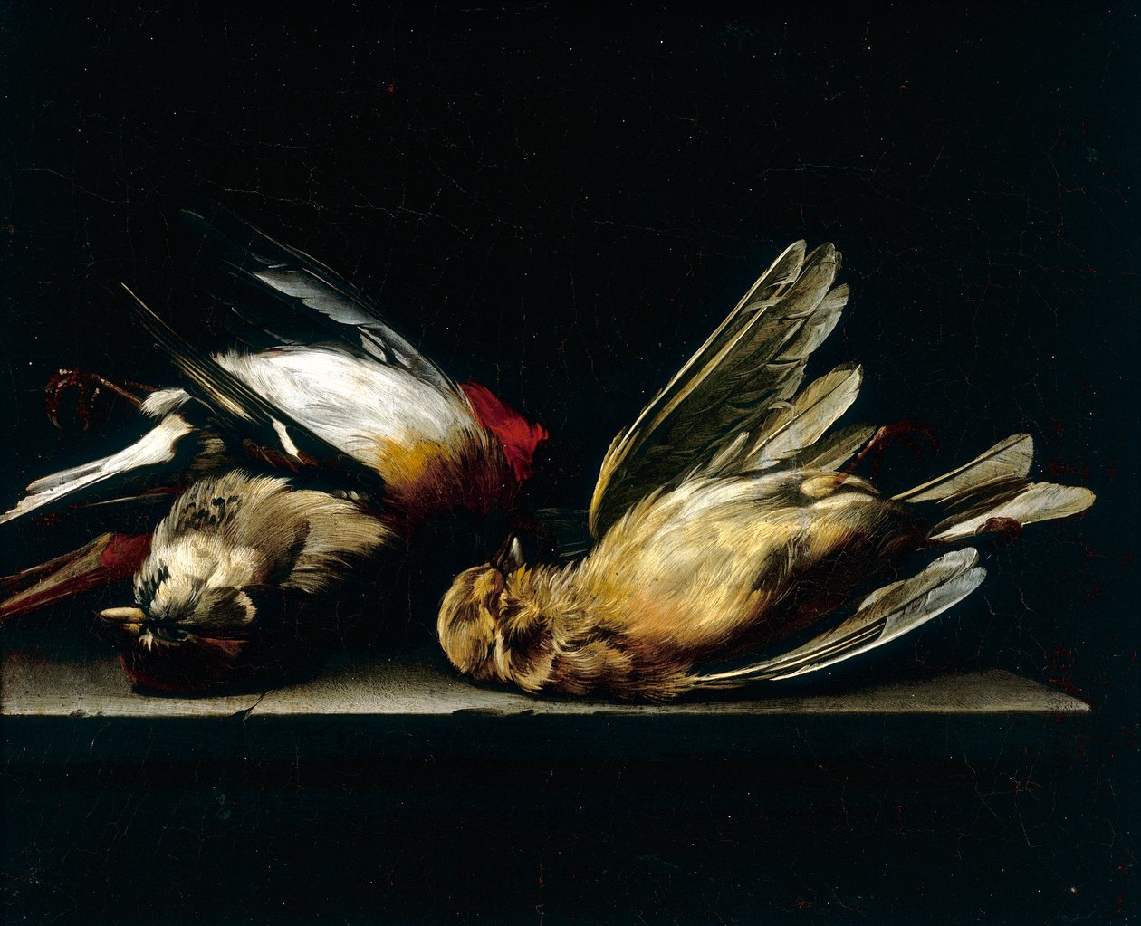 Mrtví ptáčci od Willem van Aelst