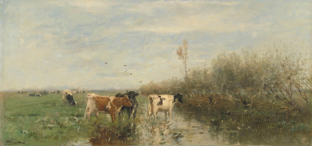 Krávy na rozmočené louce od Willem Maris