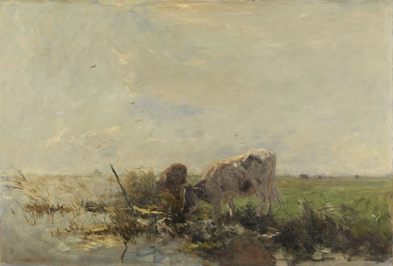 Krávy na louži od Willem Maris