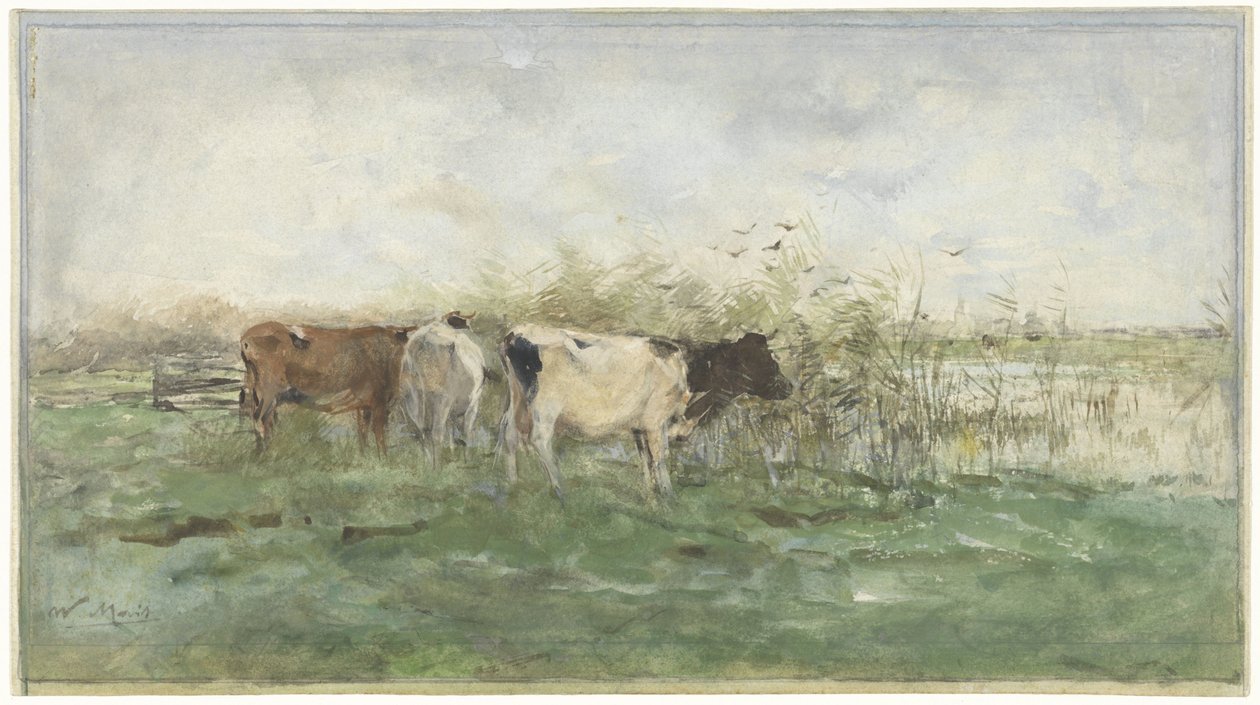 Krávy u louže od Willem Maris