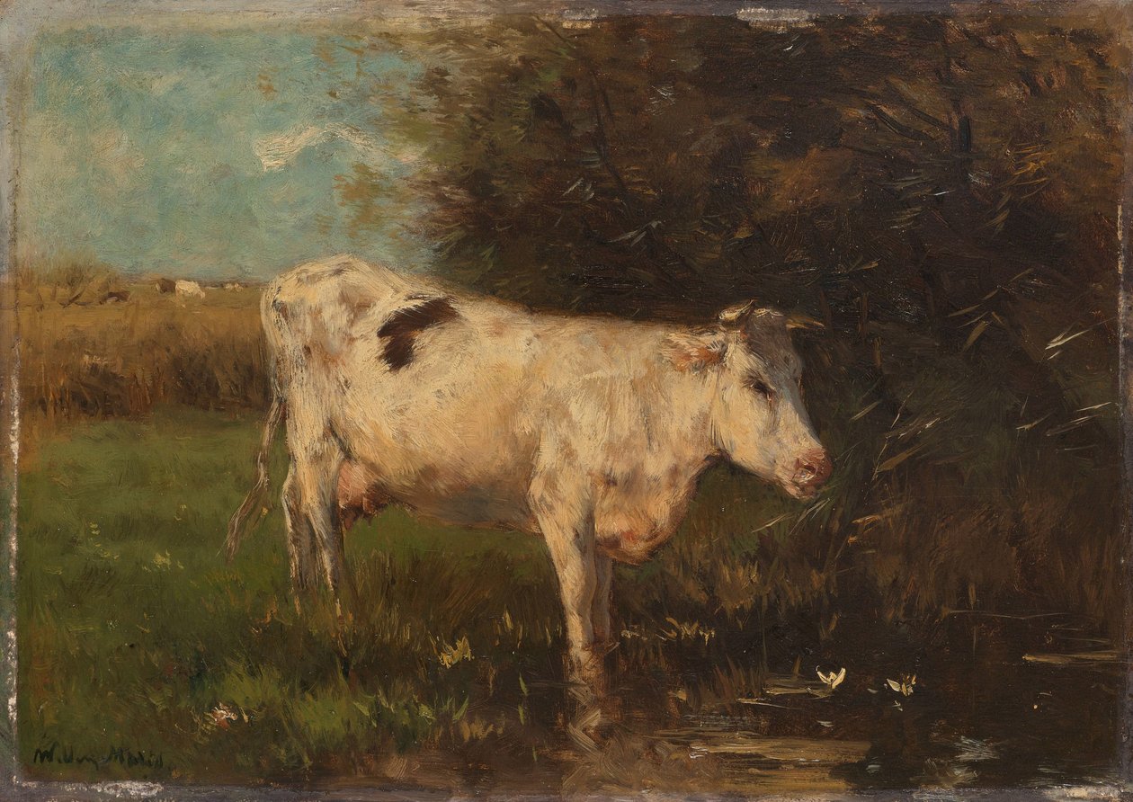 Bílá kráva od Willem Maris