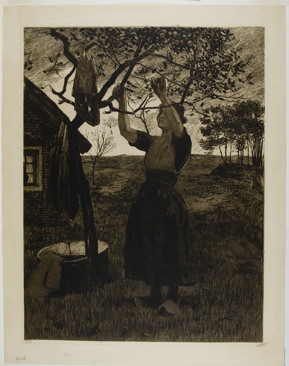 Jabloň od Willem Arnoldus Witsen