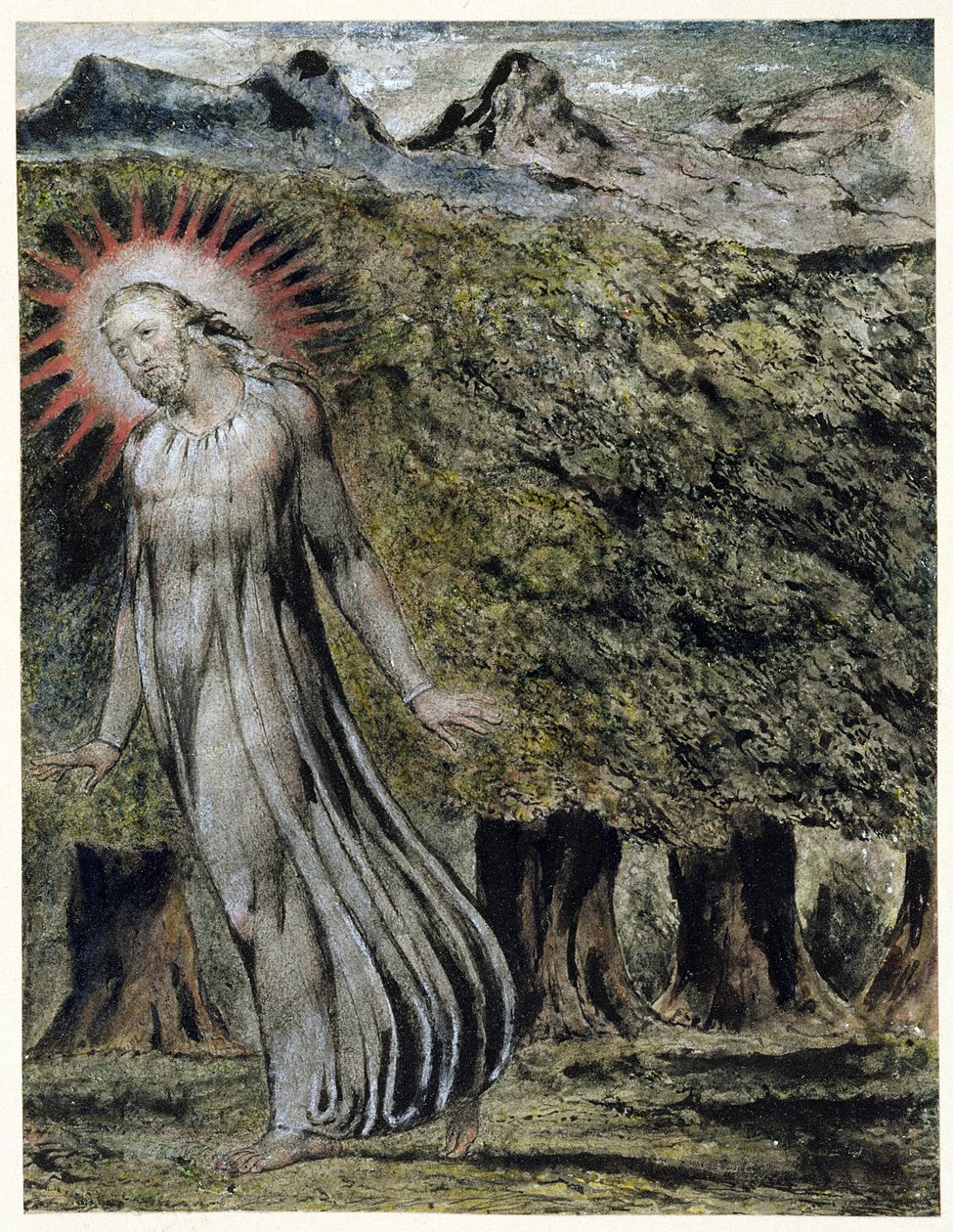 Prorok v divočině (pero a tuš s kvašem na papíře) od William Blake