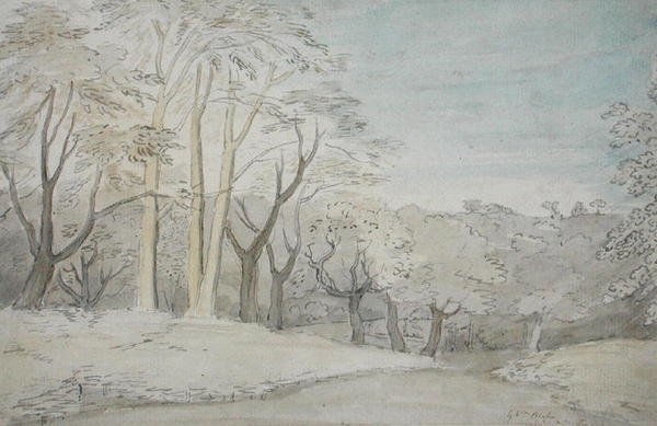 A Woody Landscape, c.1801 (wc a grafit na papíře) od William Blake