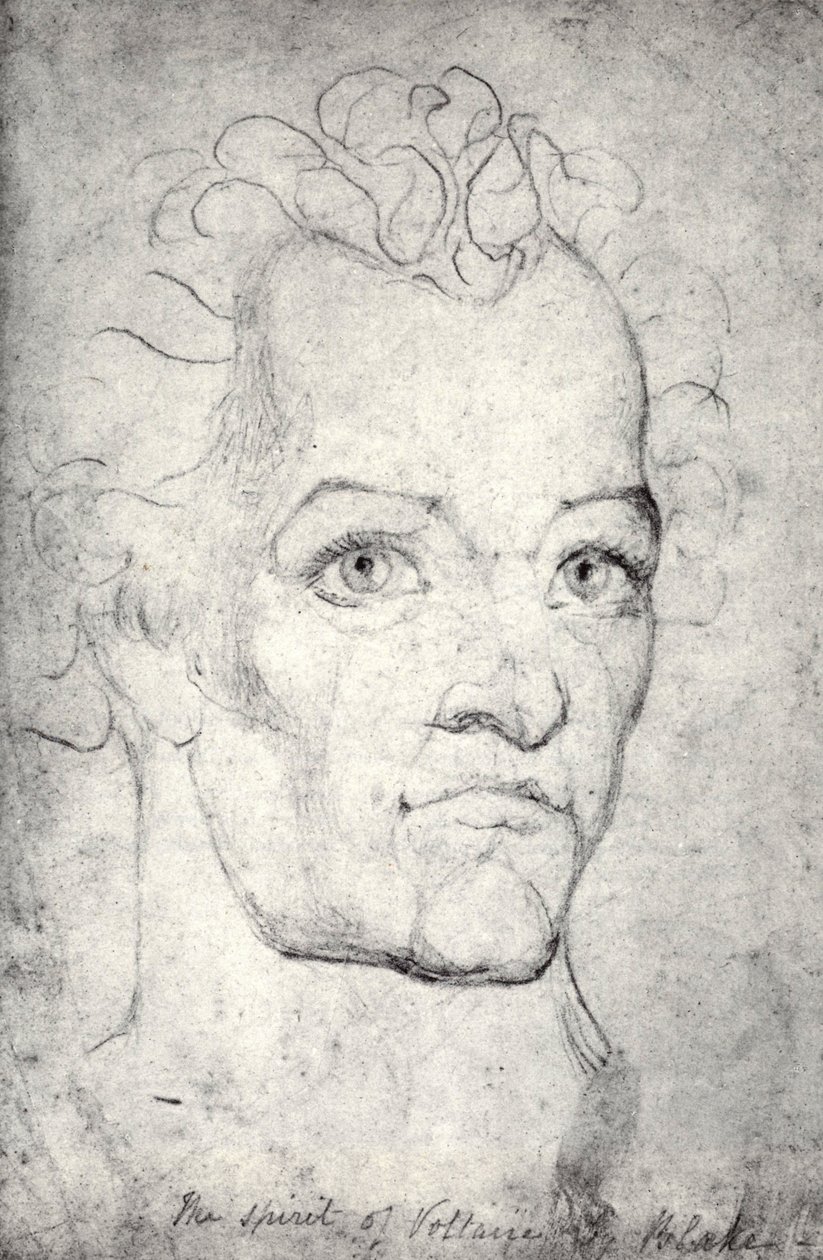 Vedoucí Voltaire od William Blake