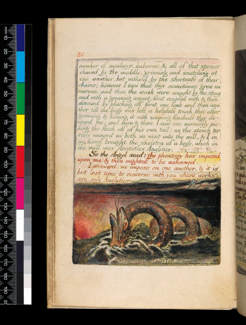Marriage of Heaven and Hell (pl.20), cca 1790-93 (reliéfní lept hotový v peru a wc) od William Blake