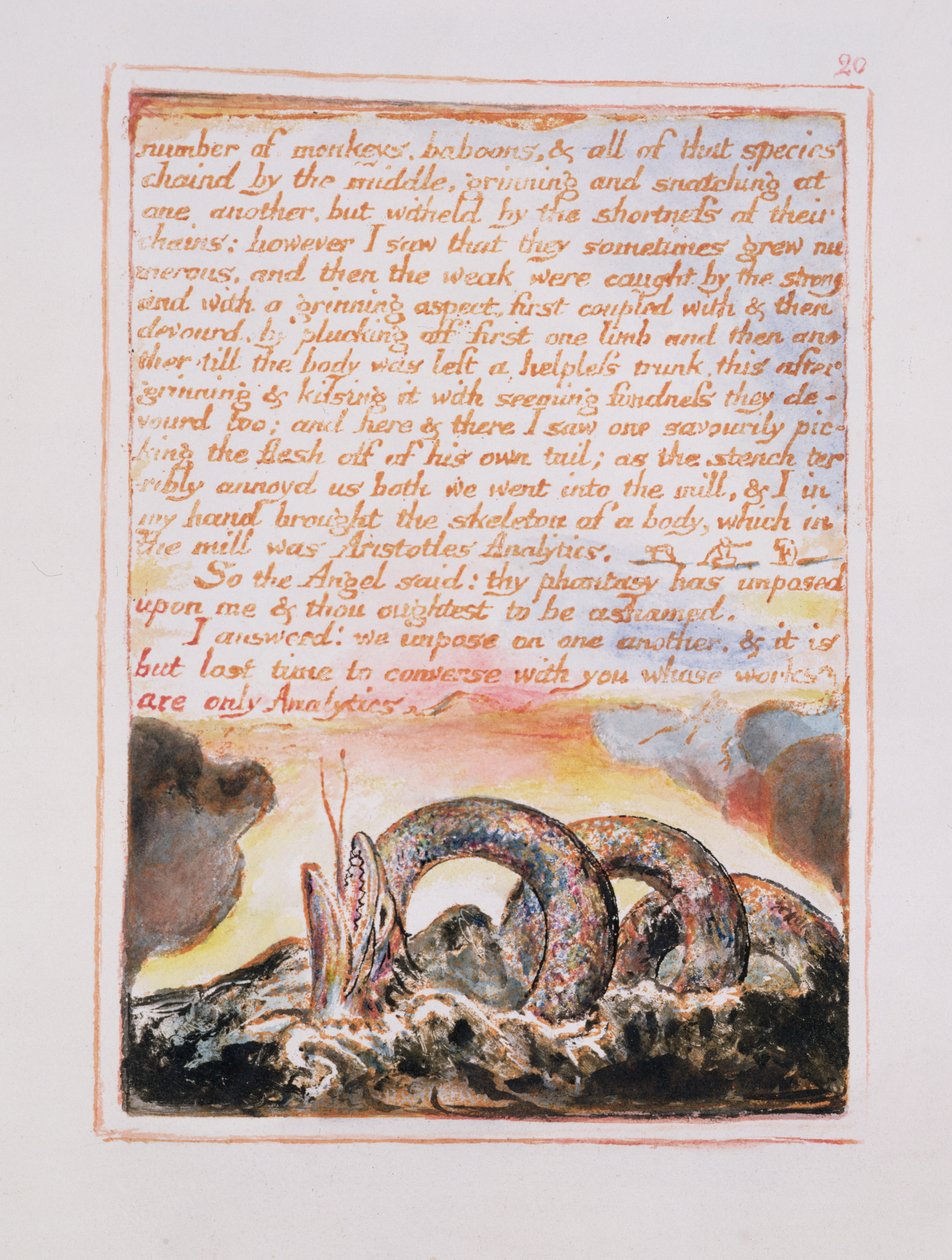 Počet opic, paviánů.., ilustrace a text ze Sňatku nebe a pekla, cca 1790-3 (reliéfní lept s perem a wc) od William Blake