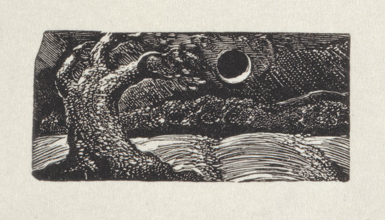 Nebo tryskající větry nebo rozkvetlé řady živých plotů, 1821 (dřevoryt) od William Blake