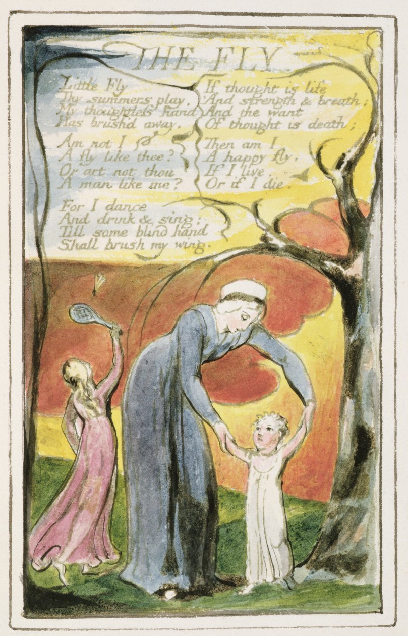S.124-1950.pt41 The Fly: plate 41 from 
