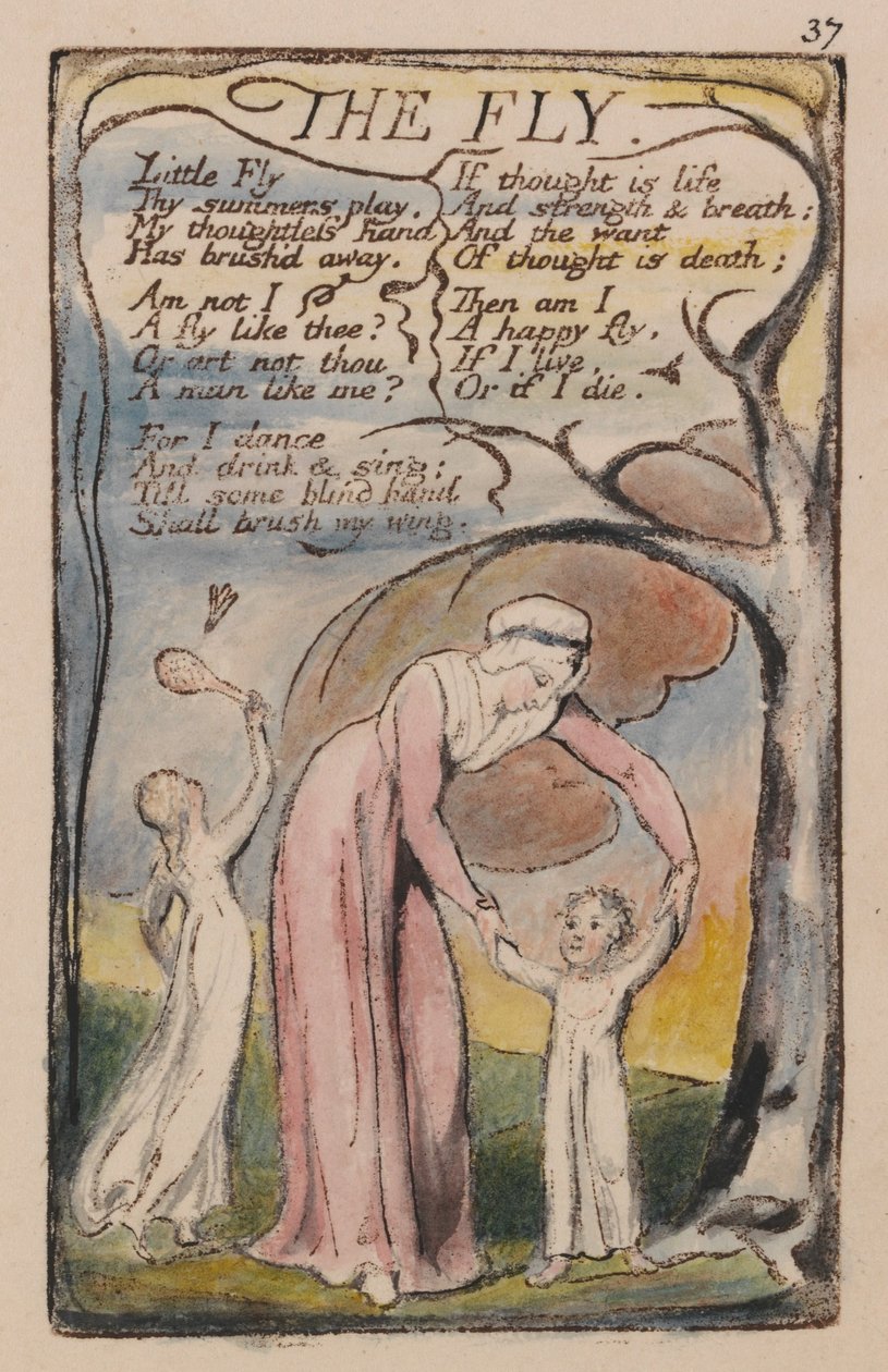 Songs of Innocence and of Experience, Plate 37, The Fly (Bentley 40) od William Blake