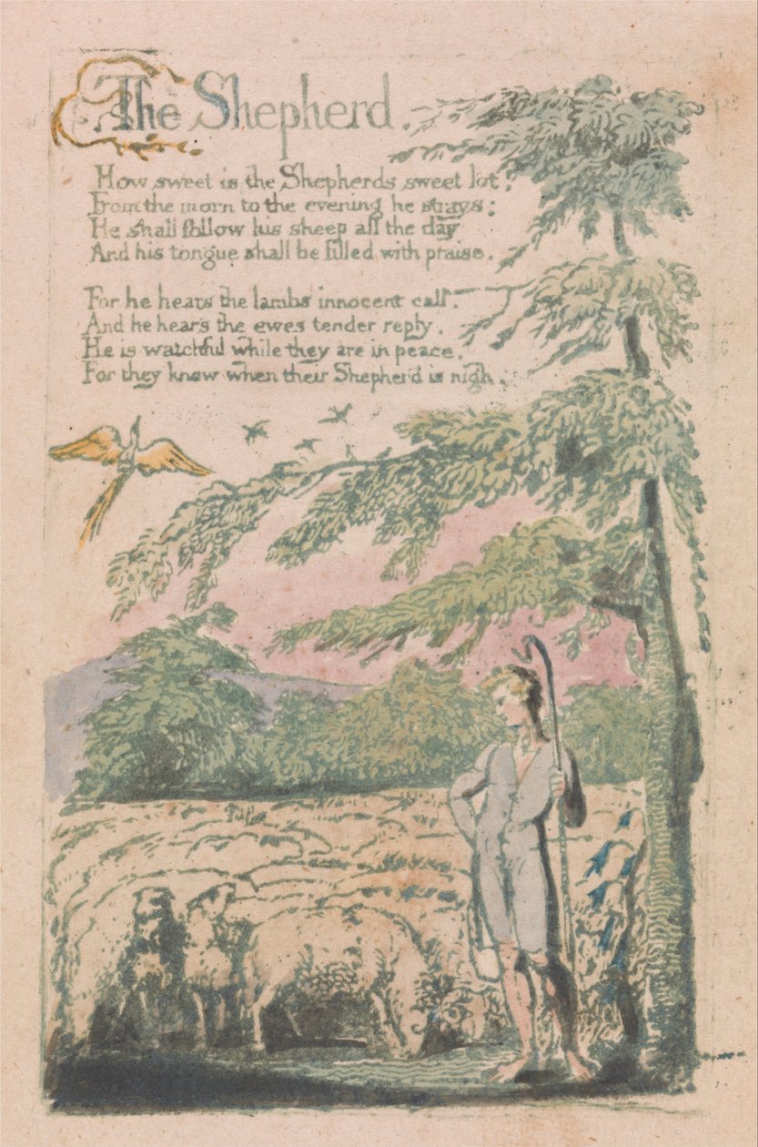 Songs of Innocence and of Experience, Plate 4, The Shepherd (Bentley 5) od William Blake