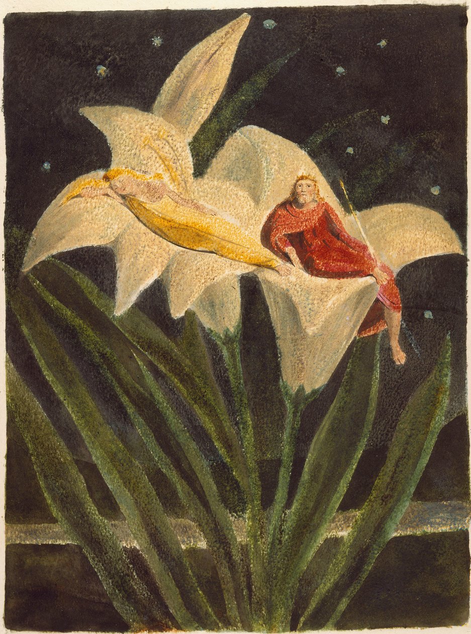 Píseň Los od William Blake