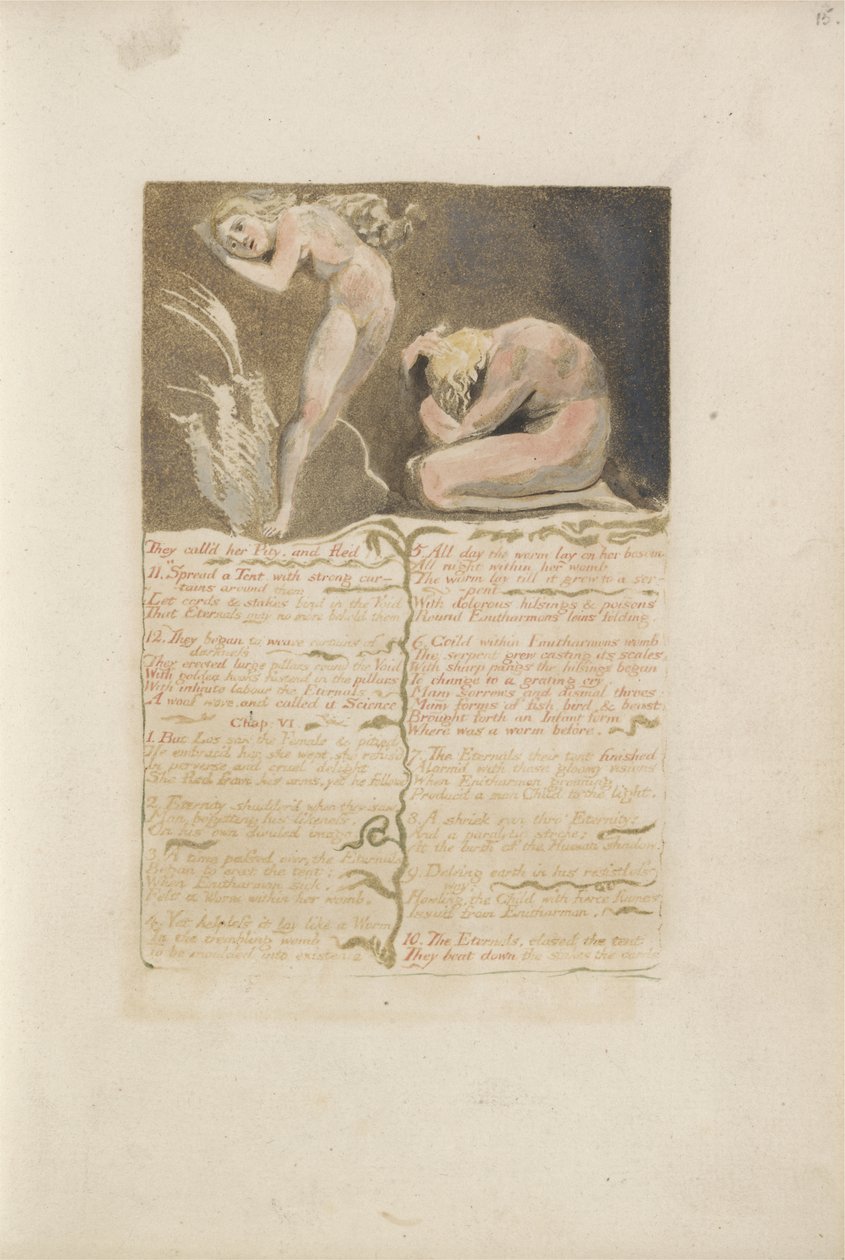 Říkali jí Škoda a prchli..., deska 19 z The First Book of Urizen, 1794 (barevně tištěný reliéfní lept inkoustem a wc na papíře) od William Blake