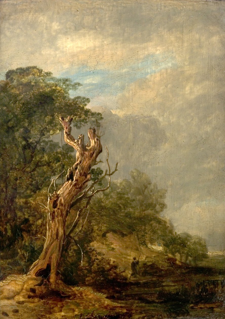 Uschlý strom od William Collins