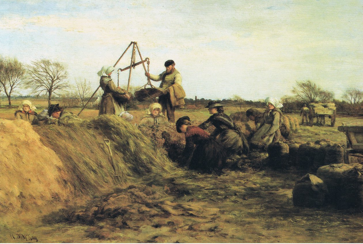 Práce na poli na jaře - u bramborových jam od William Darling Mackay