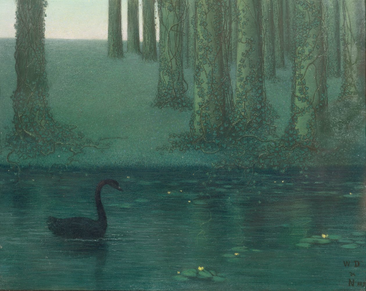 Černá labuť, 1896 (pastel na papíře) od William Degouve de Nuncques