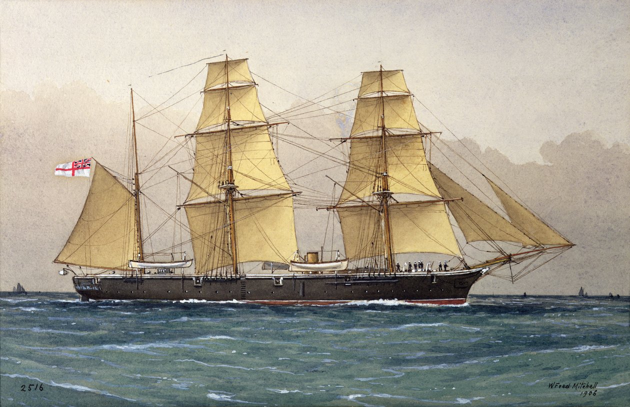 Divoká labuť, 1906 od William Frederick Mitchell