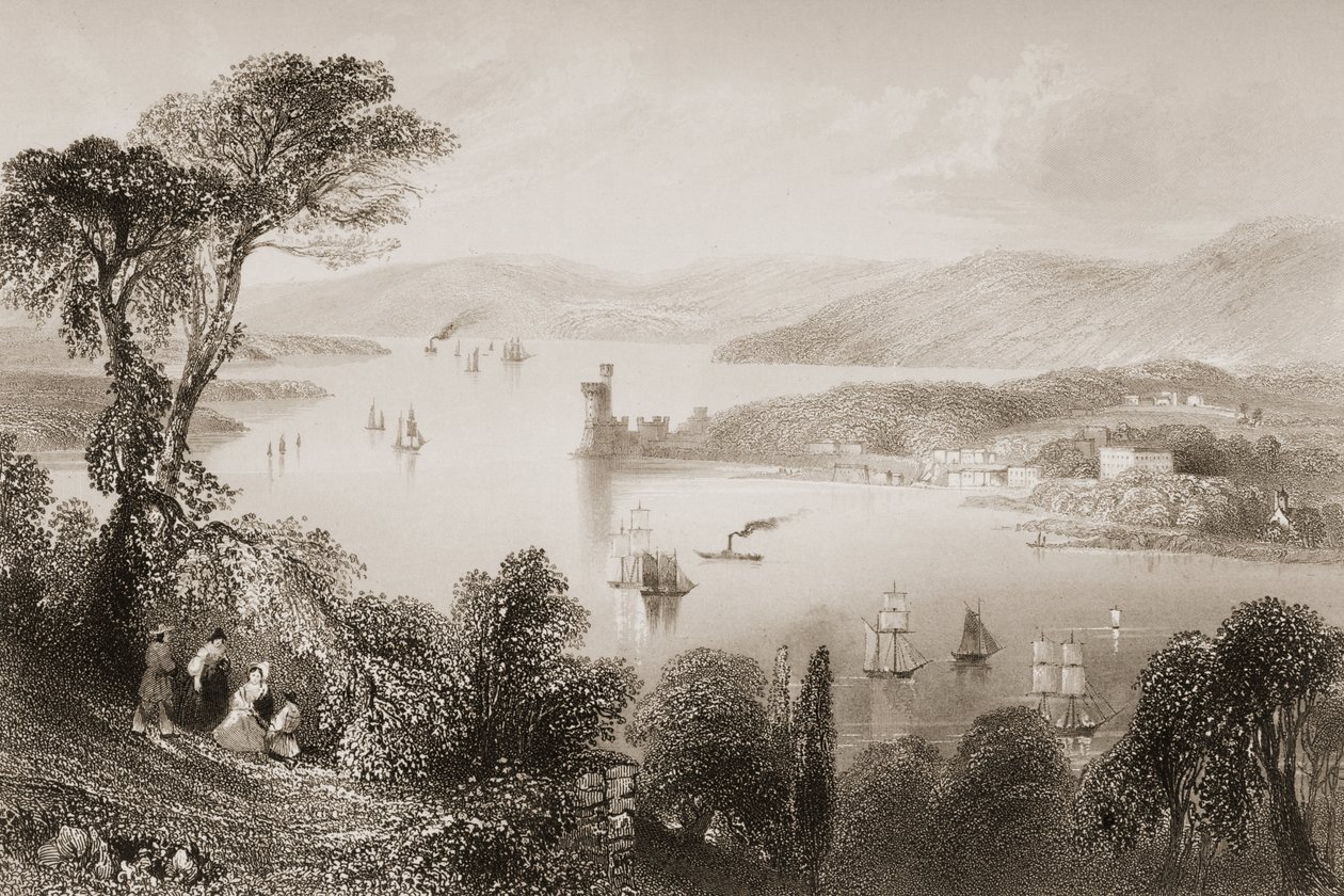 Řeka Cork zpod Glanmire Road, hrabství Cork, Irsko, z „Scenery and Antiquities of Ireland“ od George Virtue, 1860 od William Henry Bartlett