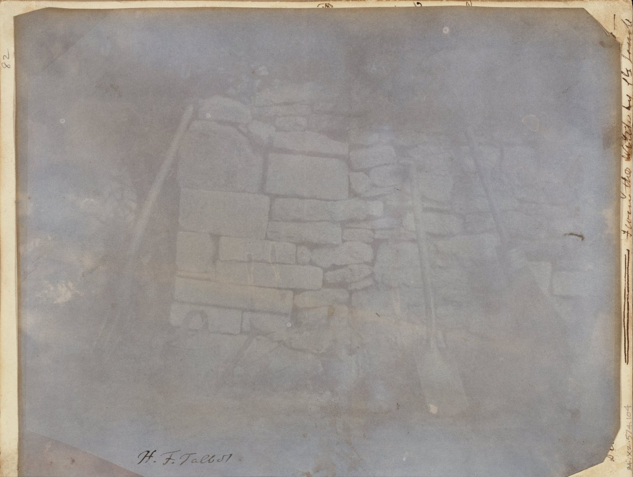 (Zeď v Melon Ground, Lacock Abbey) od William Henry Fox Talbot