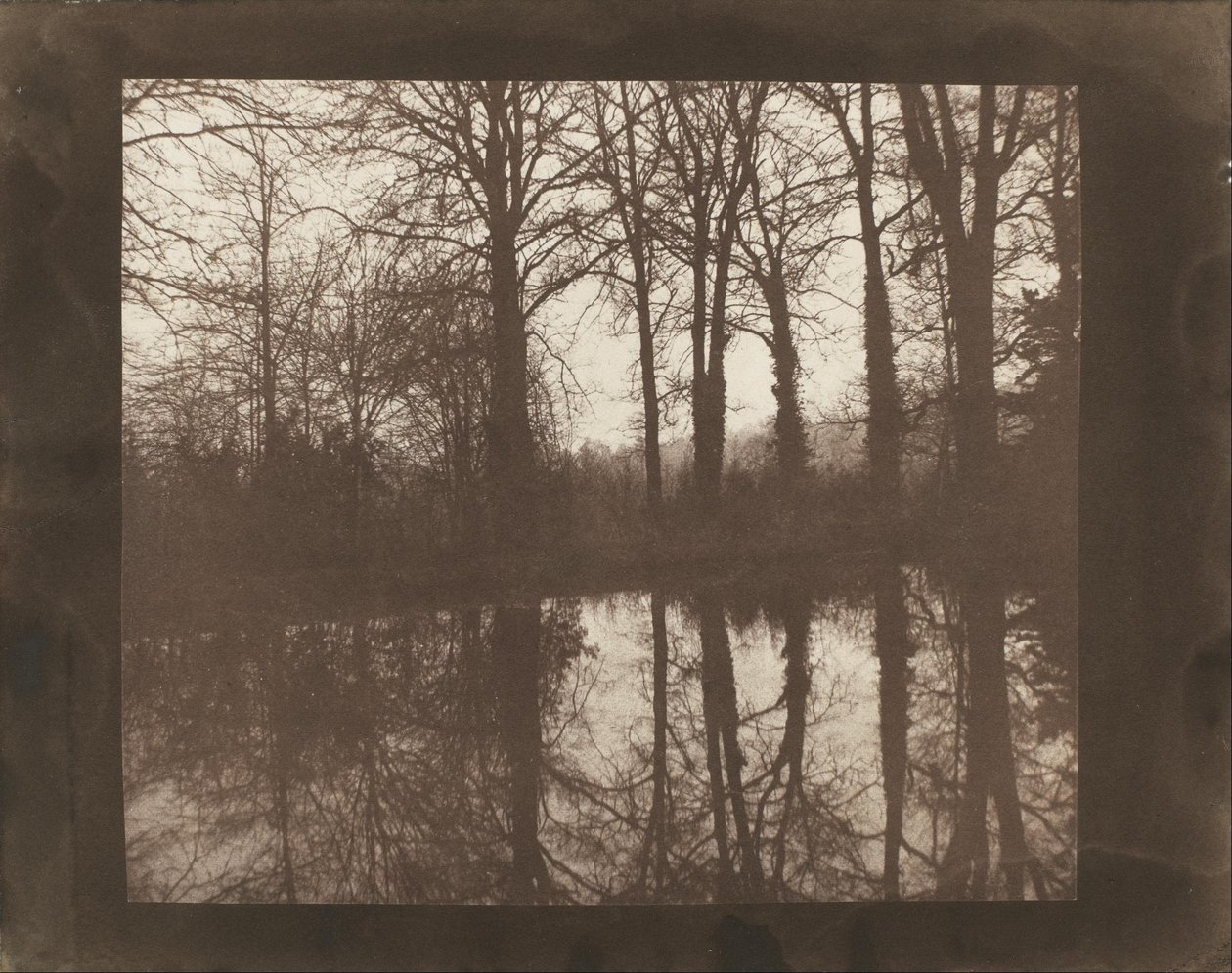 Stromy a odrazy od William Henry Fox Talbot