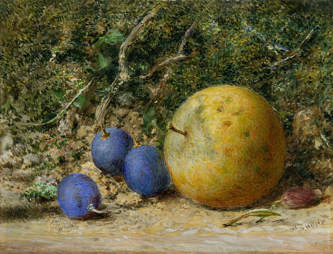 Tři hrozny a jablko (wc na papíře) od William Henry Hunt