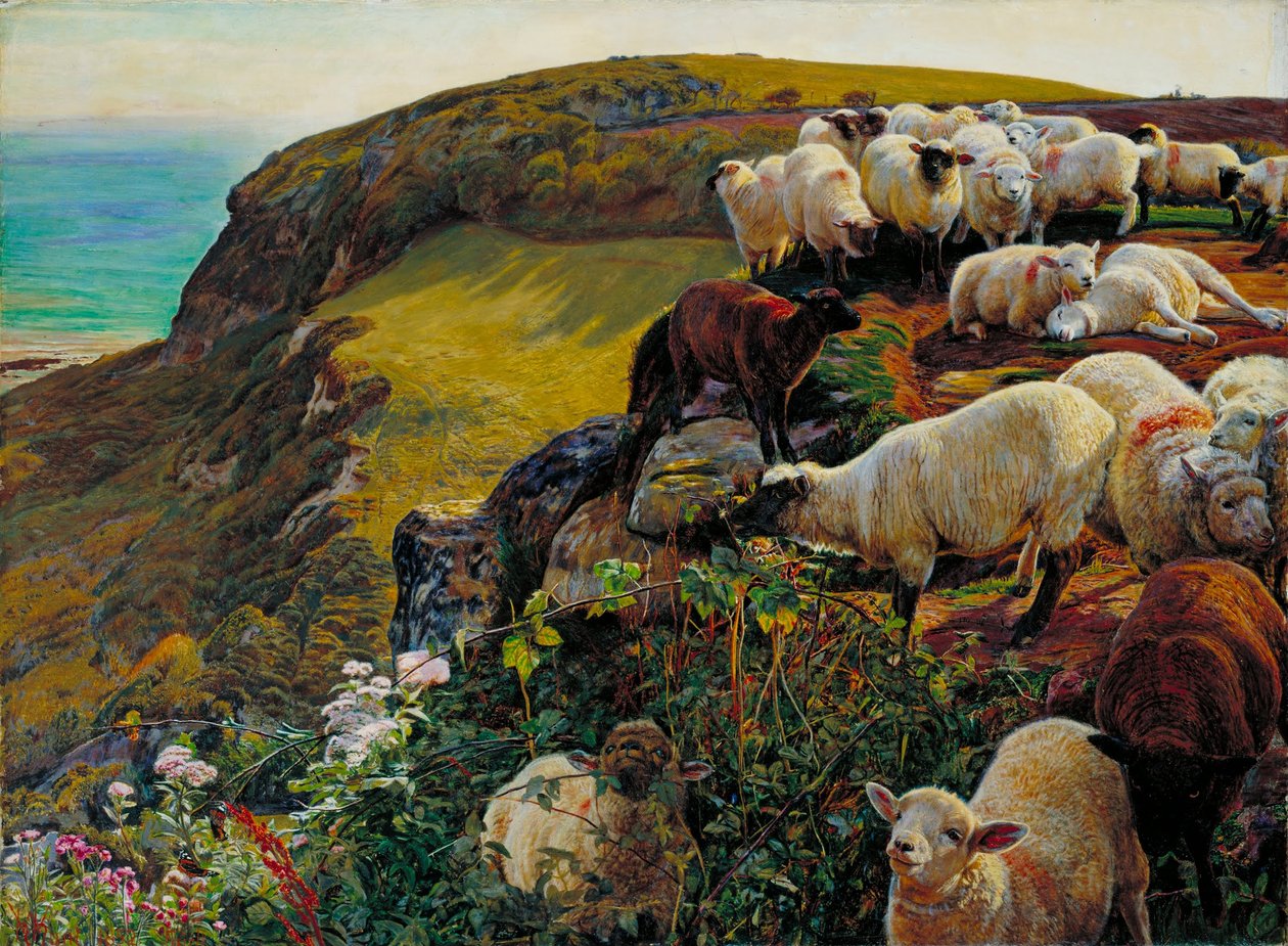 Naše anglická pobřeží, 1852 (`Strayed Sheep) od William Holman Hunt
