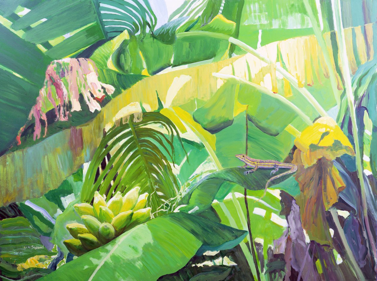 Gekko od William Ireland