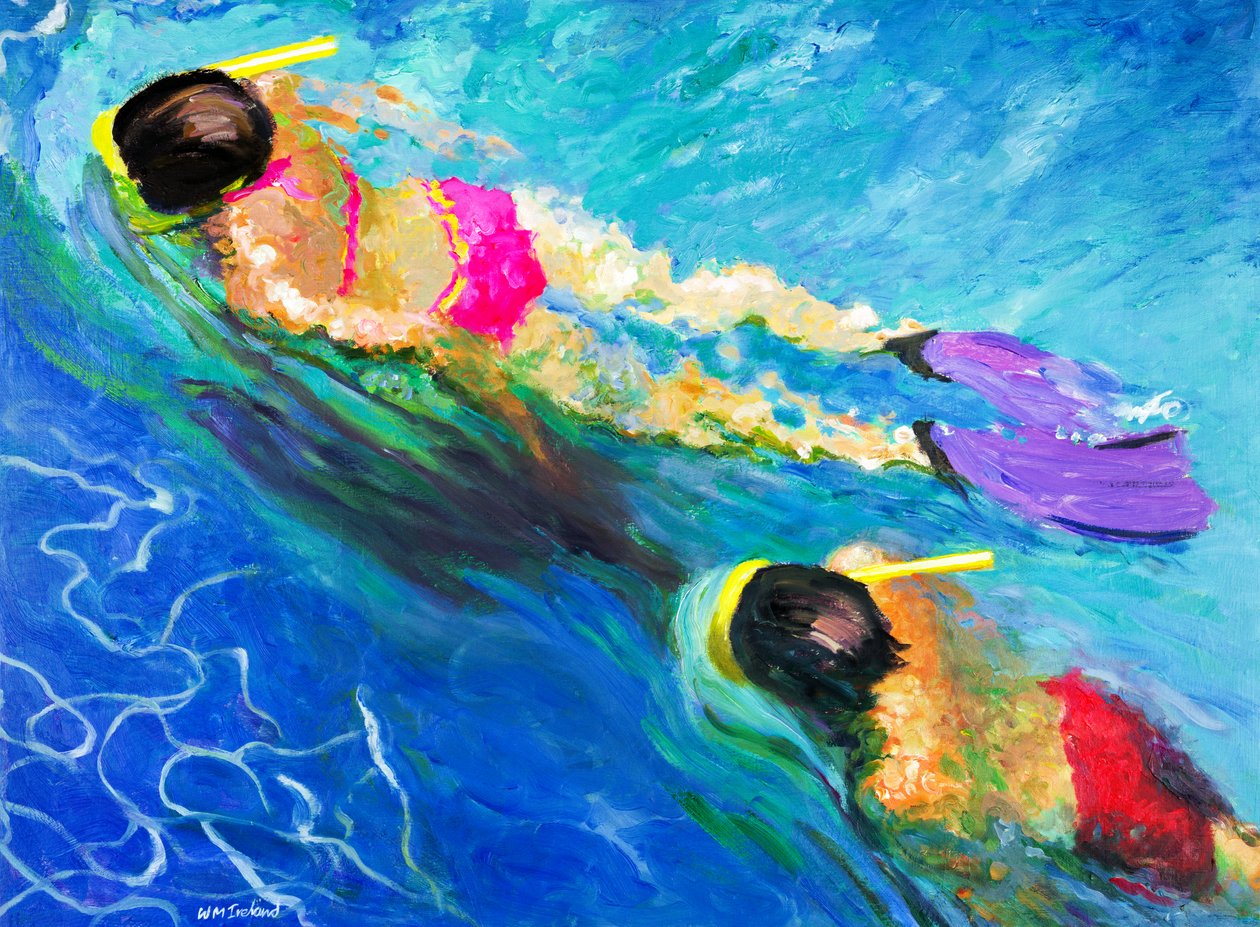 Pronásledování, 2005 od William Ireland