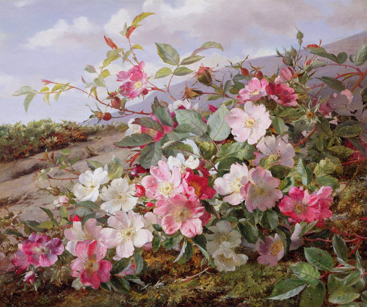 Eglantine, 1883 od William Jabez Muckley
