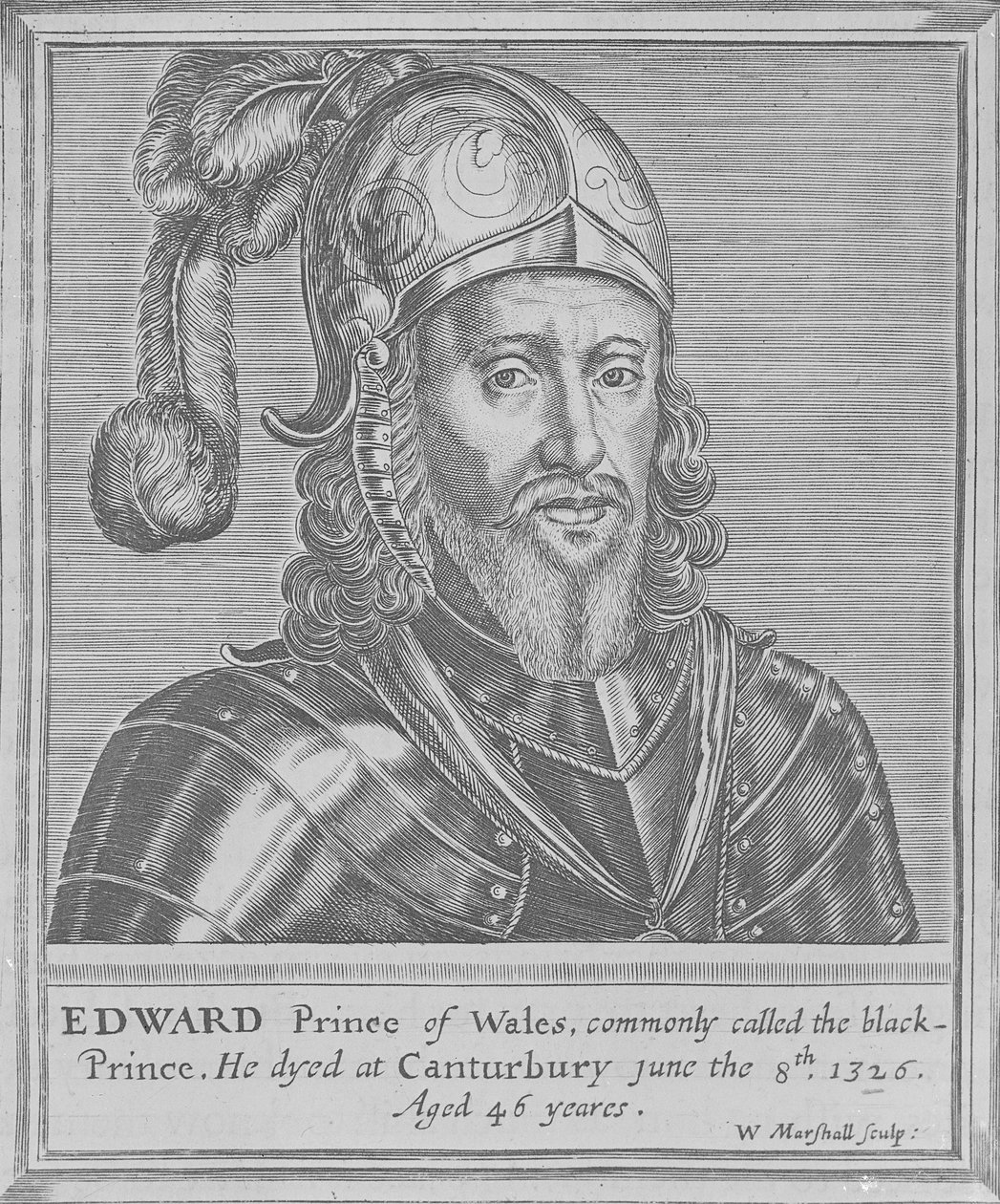 Edward, Černý princ od William Marshall