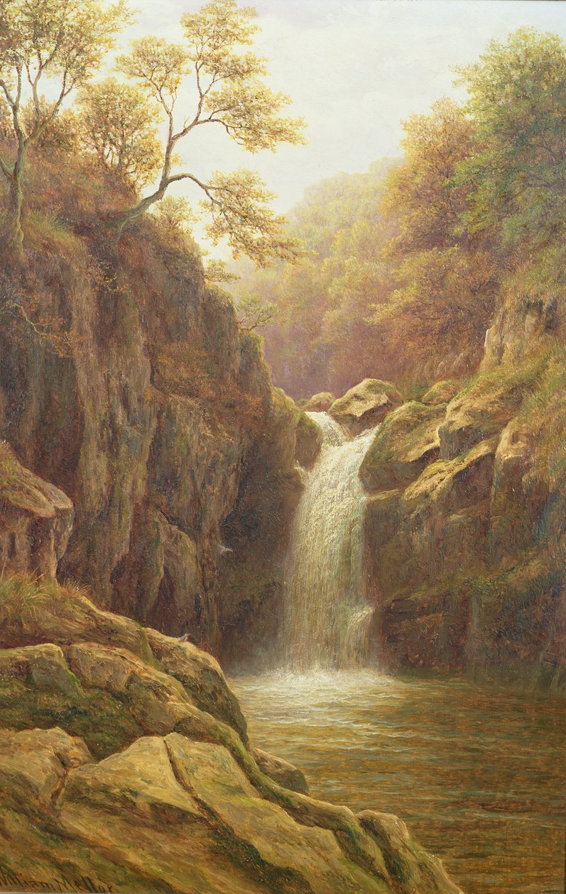 Pecca Foss od William Mellor