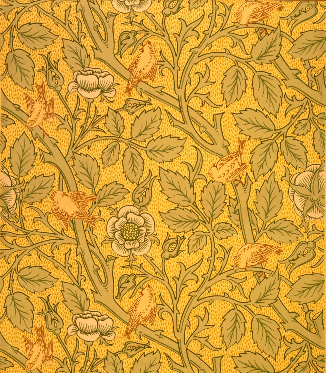 Ptačí tapeta (barevný dřevoryt na papíře) od William Morris