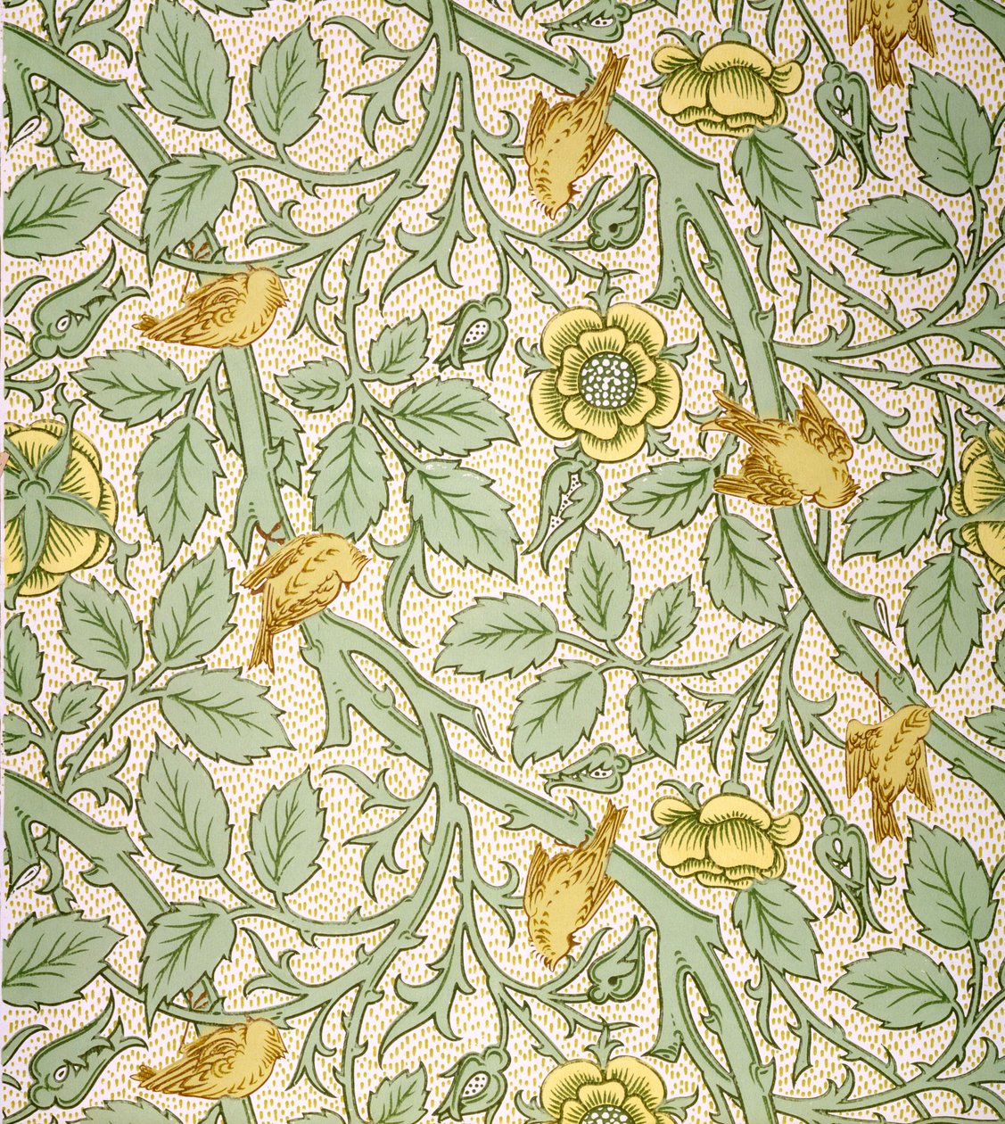 Design ptačích tapet (barevný dřevořez na papíře) od William Morris