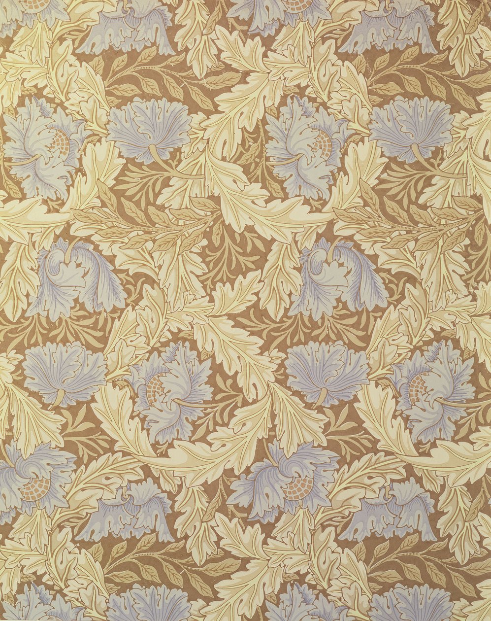 Design tapety 