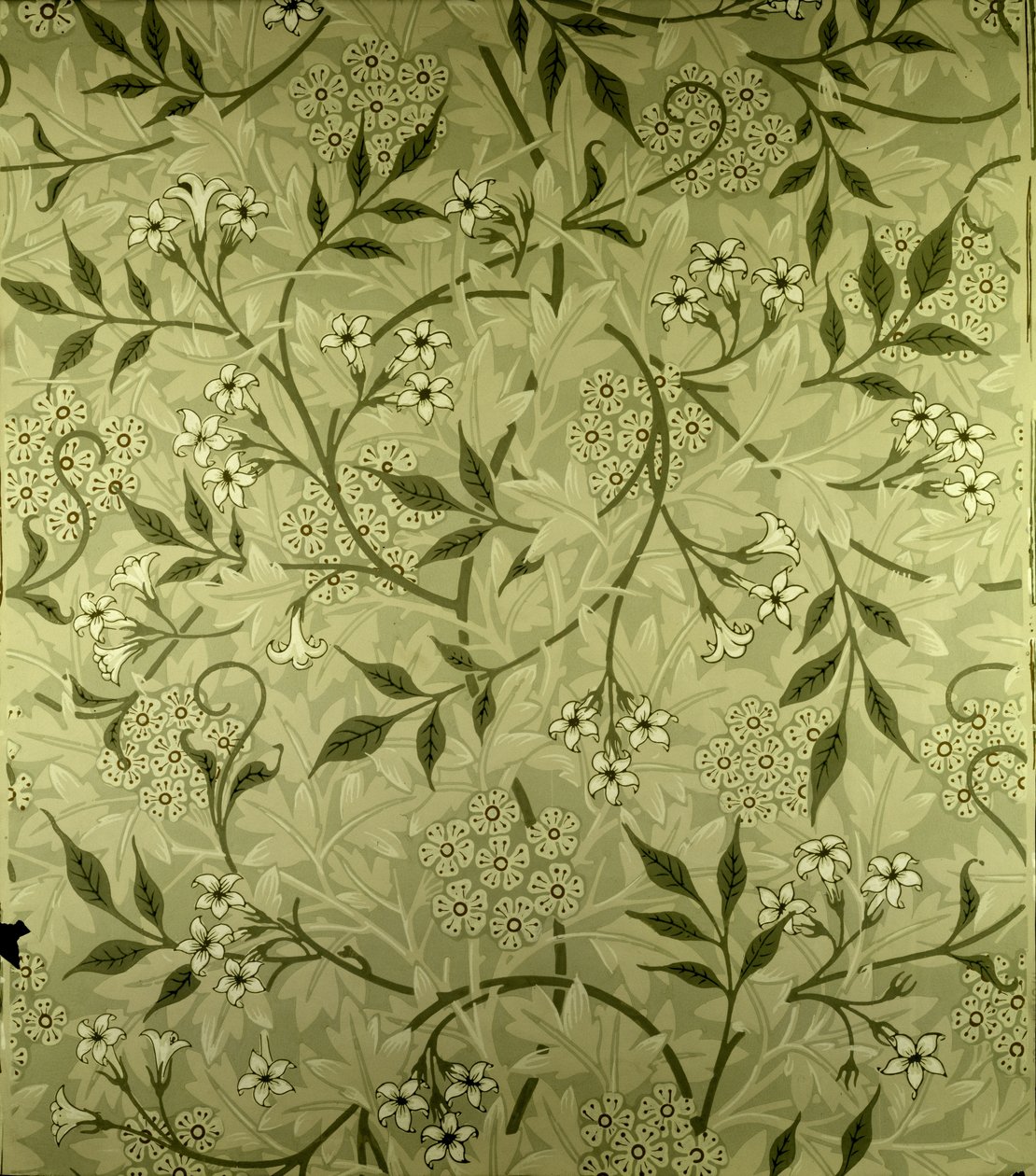 Design tapety "Jasmine", 1872 od William Morris