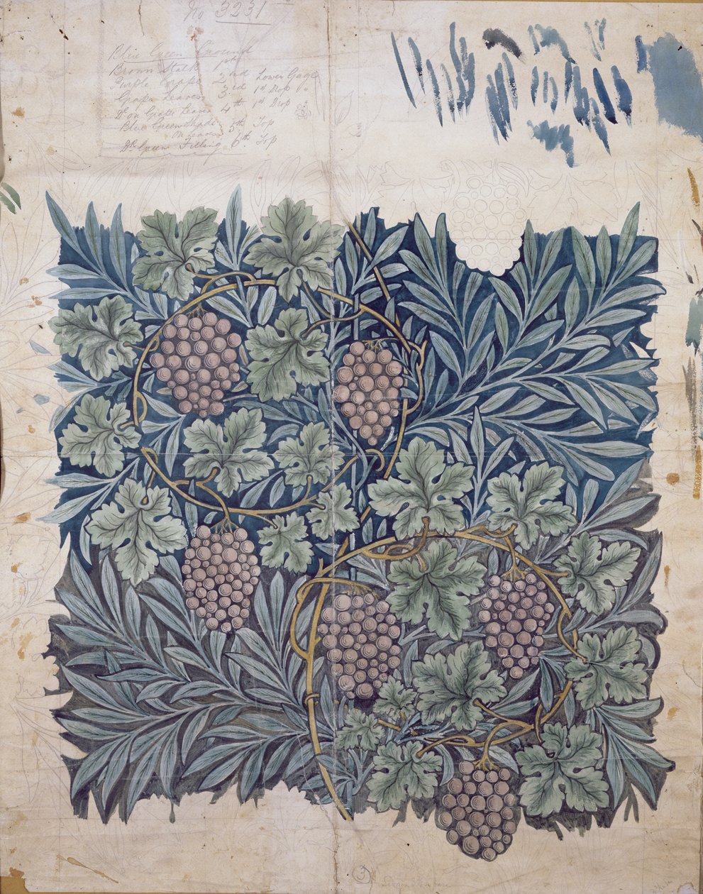 Design listů a hroznů pro tapetu "Vine" (tužka a wc na papíře) od William Morris