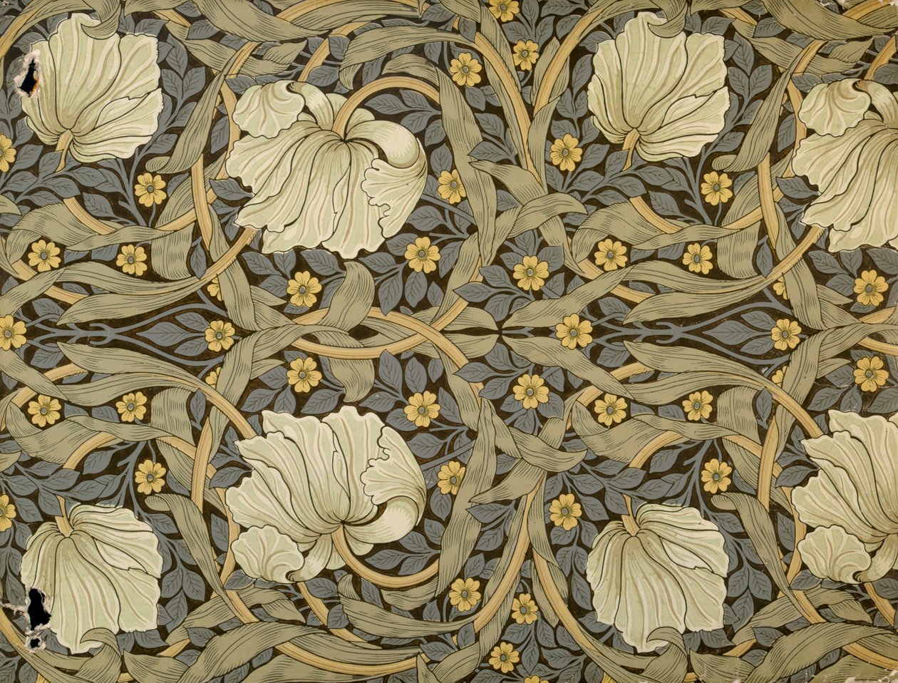 Pimpernel, design pro tapetu, 1876 od William Morris