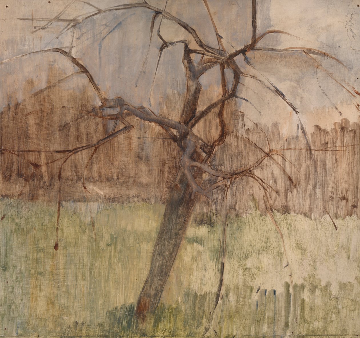 Jabloň, 1963 od William Packer