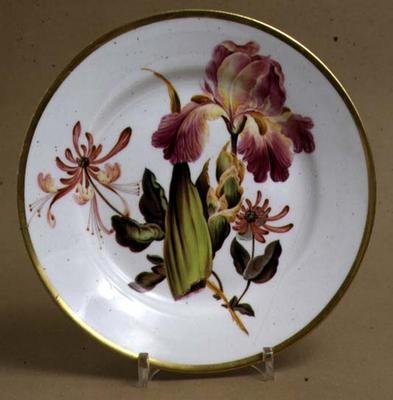 Dezertní talíř Derby zdobený kosatcem a zimolezem, cca 1795 (porcelán) od William Quaker attributed to Pegg