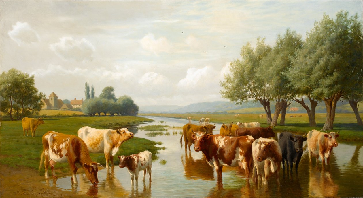 Dobytek na vodní louce poblíž Thanington, Kent, 1901 od William Sidney Cooper