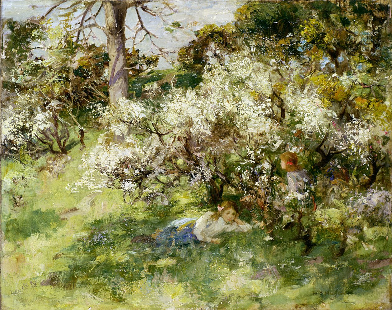 Trnkový květ od William Stewart MacGeorge