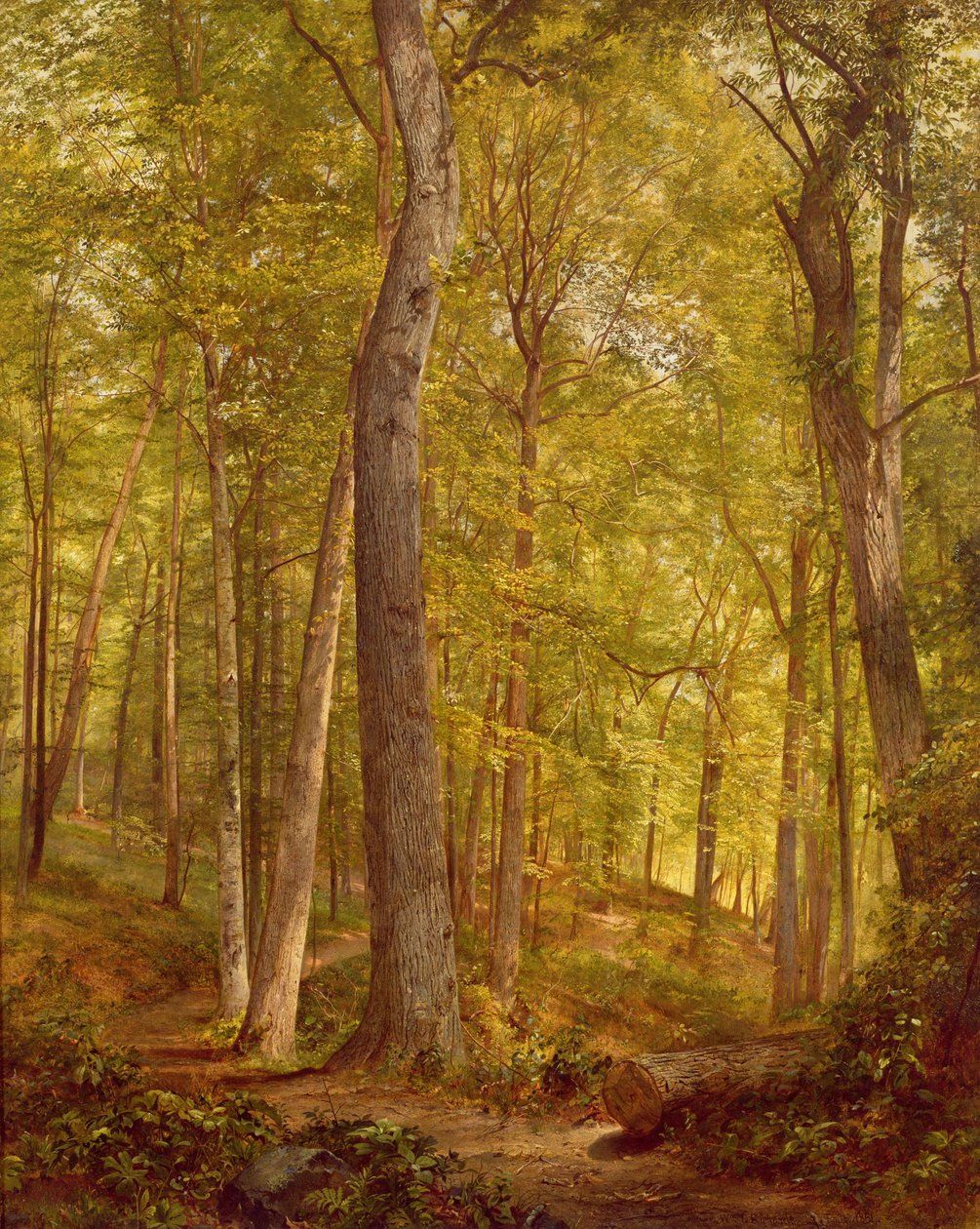 June Woods, Pennsylvania, 1864 od William Trost Richards